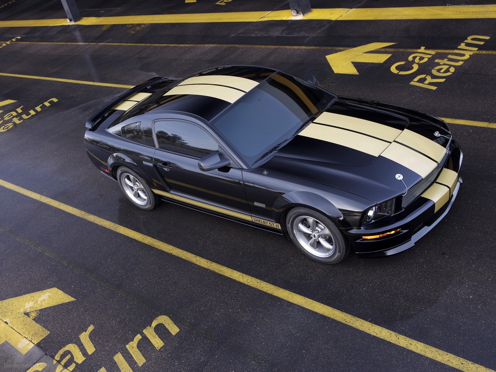 Ford Shelby GT-H